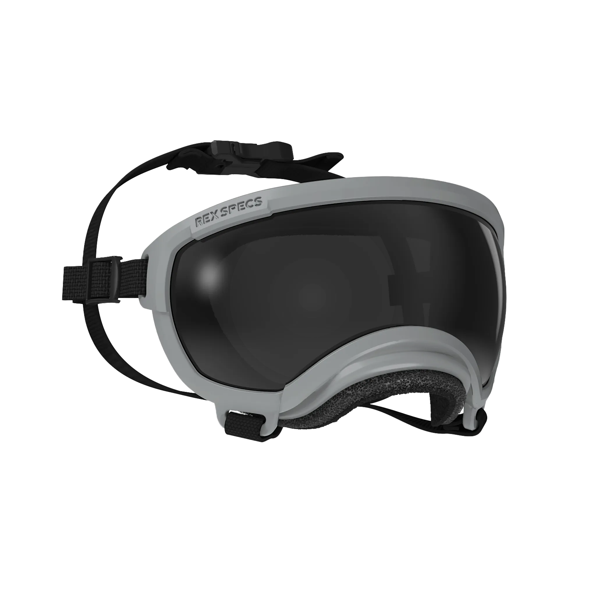 Goggles for Dogs - V2