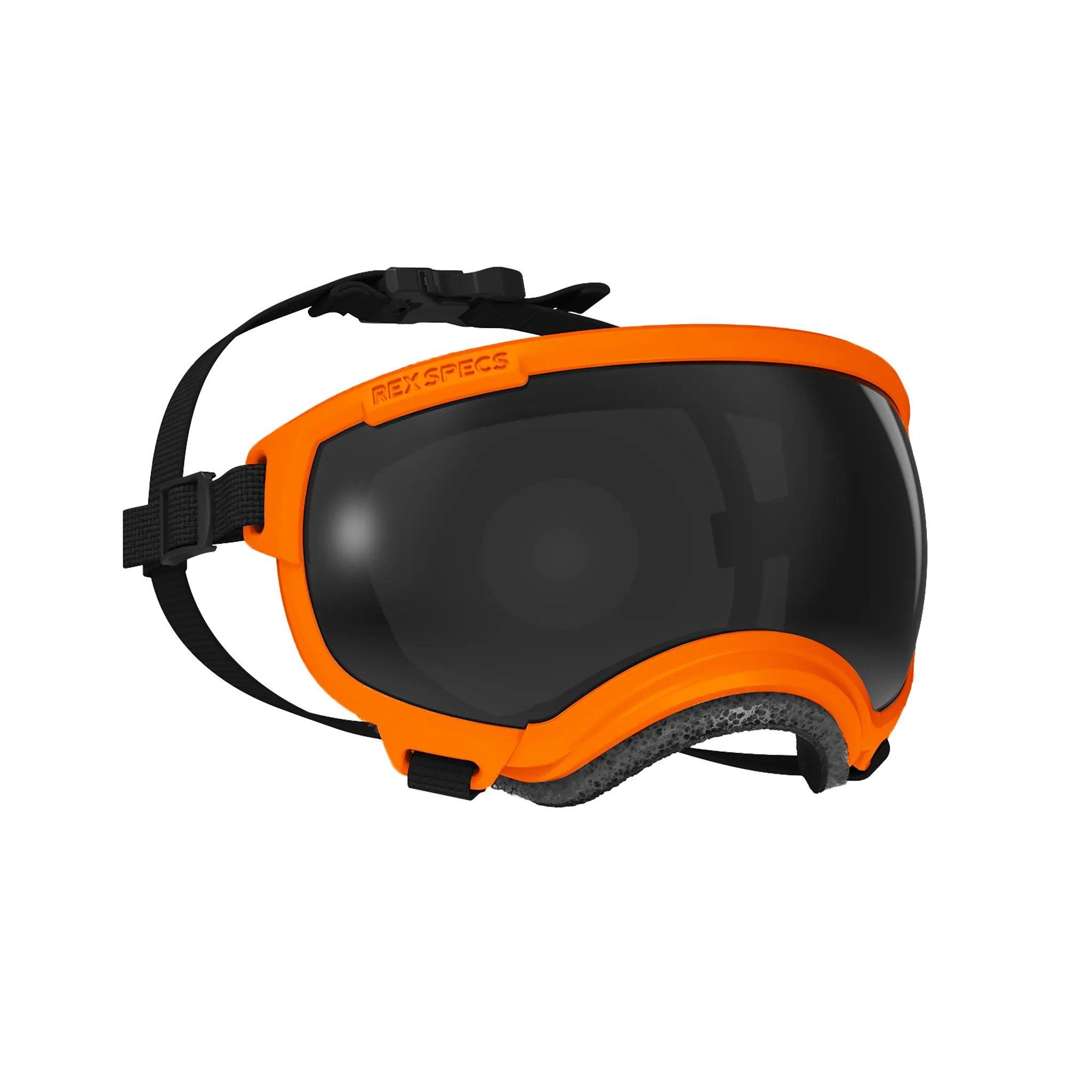 Goggles for Dogs - V2