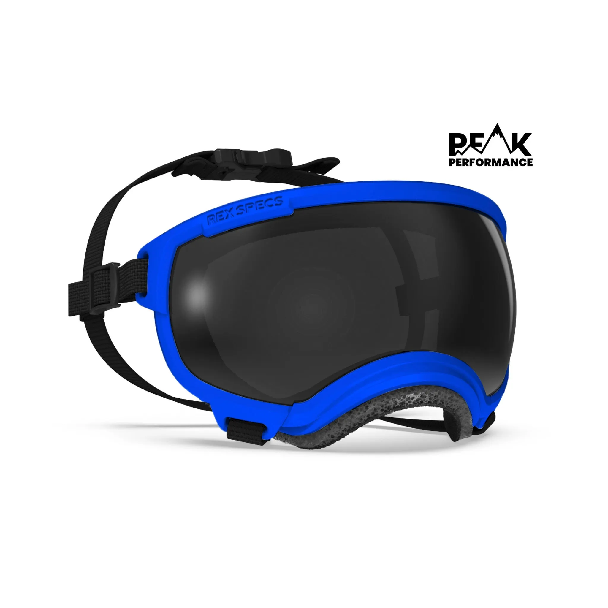 Goggles for Dogs - V2