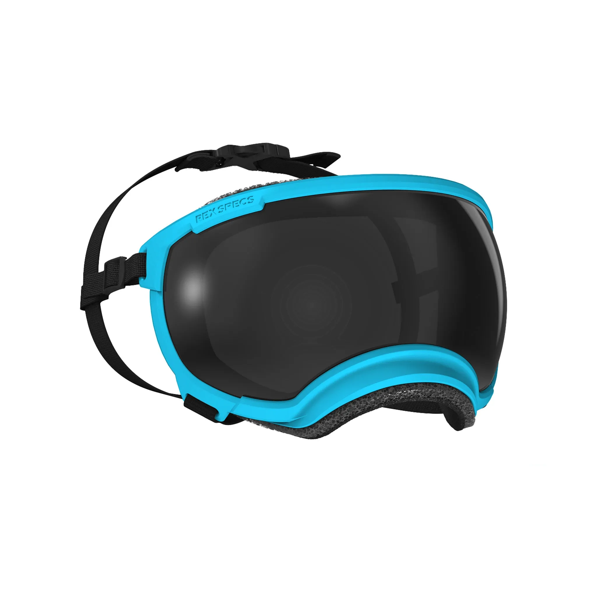 Goggles for Dogs - V2