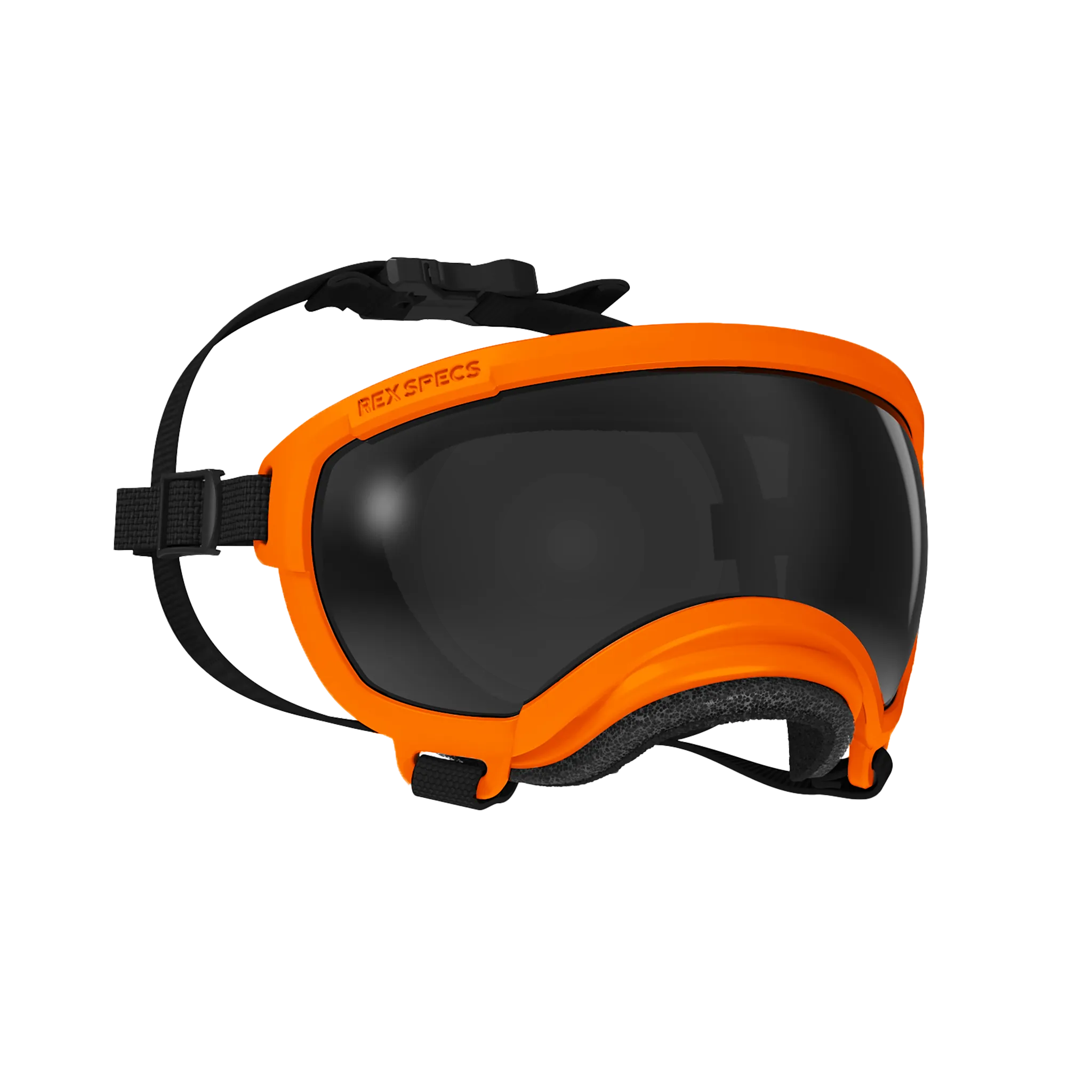 Goggles for Dogs - V2