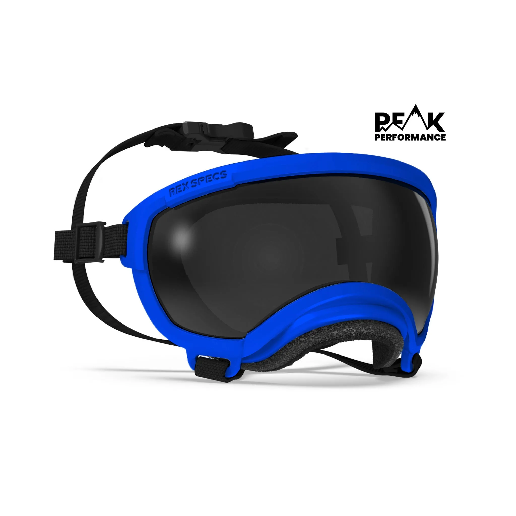 Goggles for Dogs - V2