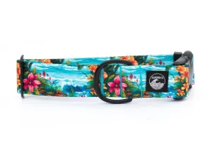 Hawaii Beach