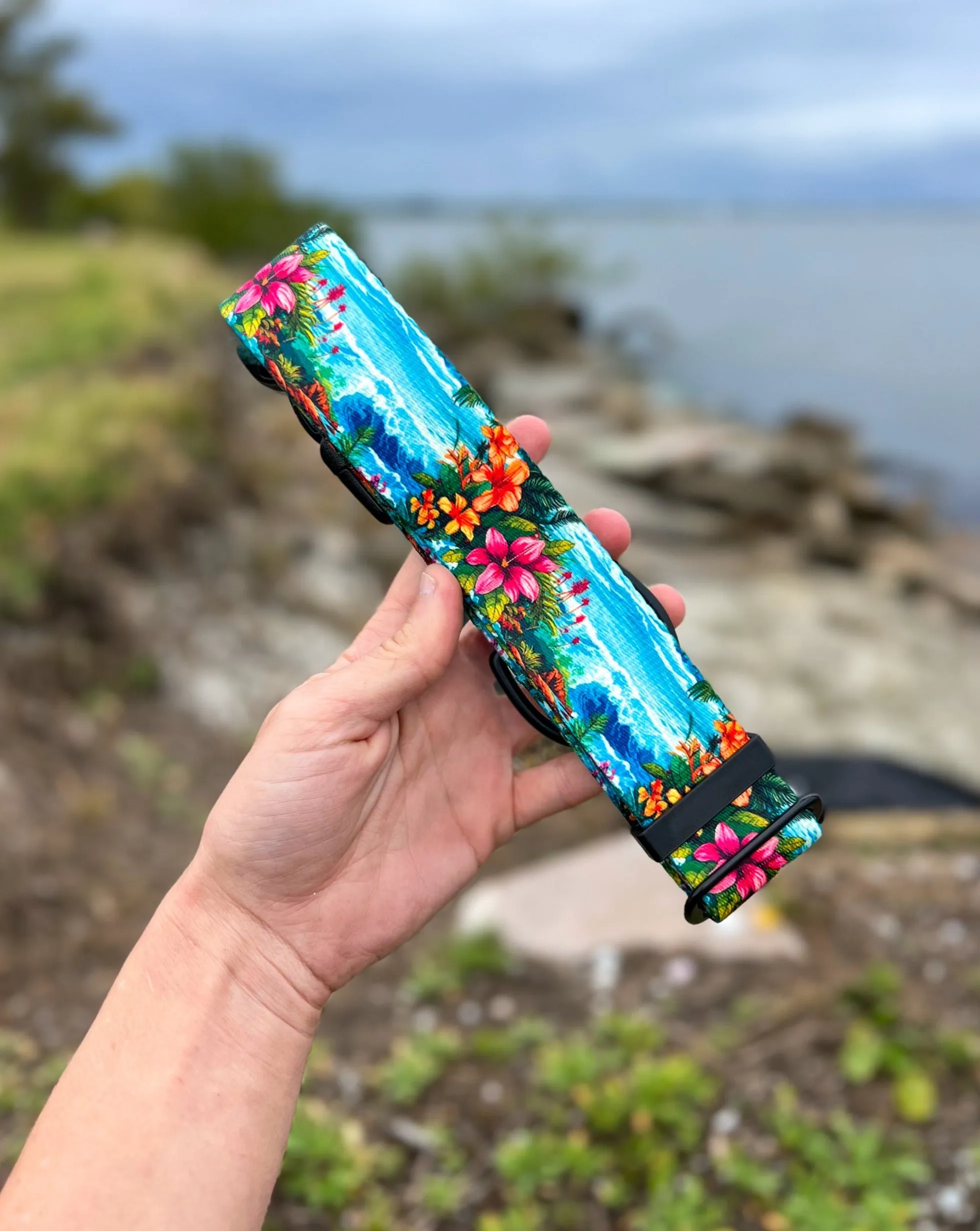 Hawaii Beach