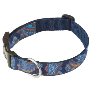 Hawkeye - Dog Collar