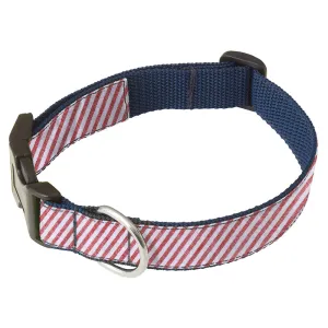 Hopkinson - Dog Collar