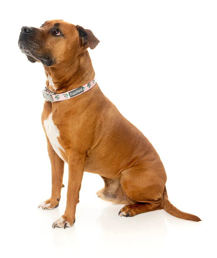 LL Cool Jaw$ Dog Collar