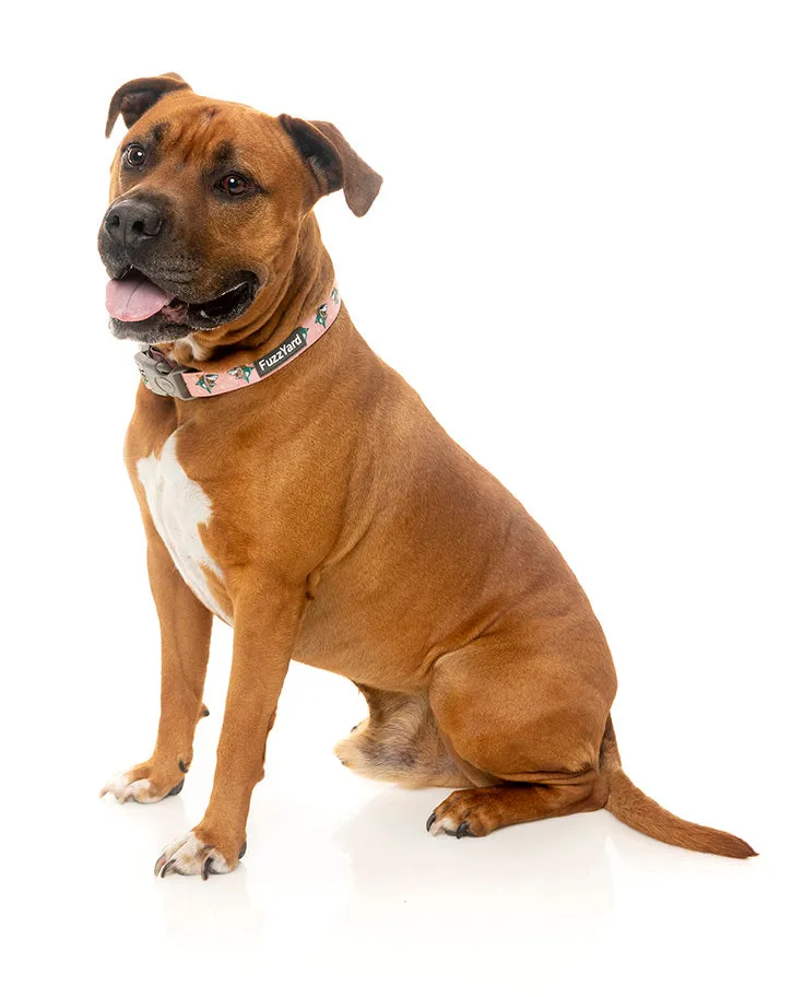 LL Cool Jaw$ Dog Collar