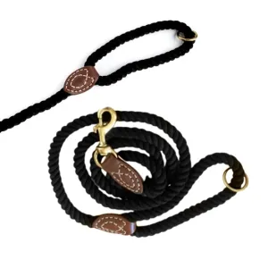 Modern Pet Company Let's Stroll Leash