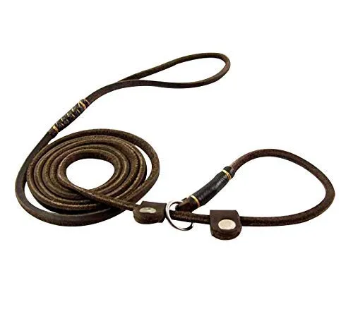 MoSANY Real Leather Slip Adjustable Dog Leash for Small Medium Dogs 5 ft x 1/5 inch