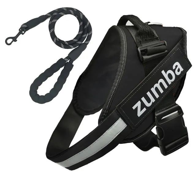 Personalized Dog Harness and Leash with Name and Phone Number