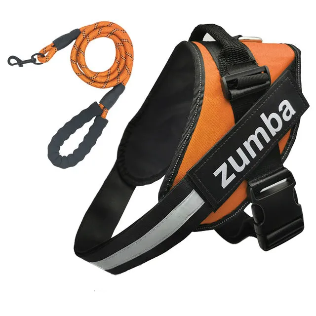 Personalized Dog Harness and Leash with Name and Phone Number