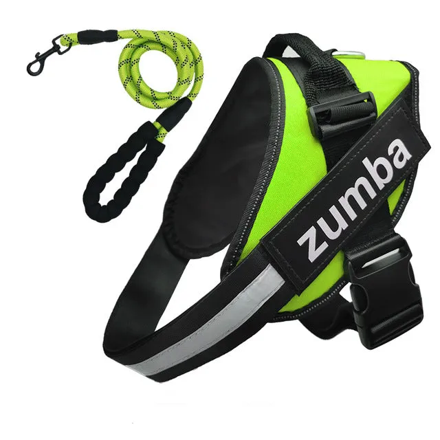 Personalized Dog Harness and Leash with Name and Phone Number