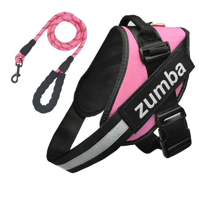Personalized Dog Harness and Leash with Name and Phone Number