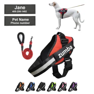 Personalized Dog Harness and Leash with Name and Phone Number