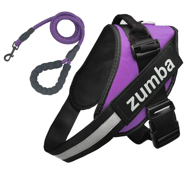 Personalized Dog Harness and Leash with Name and Phone Number