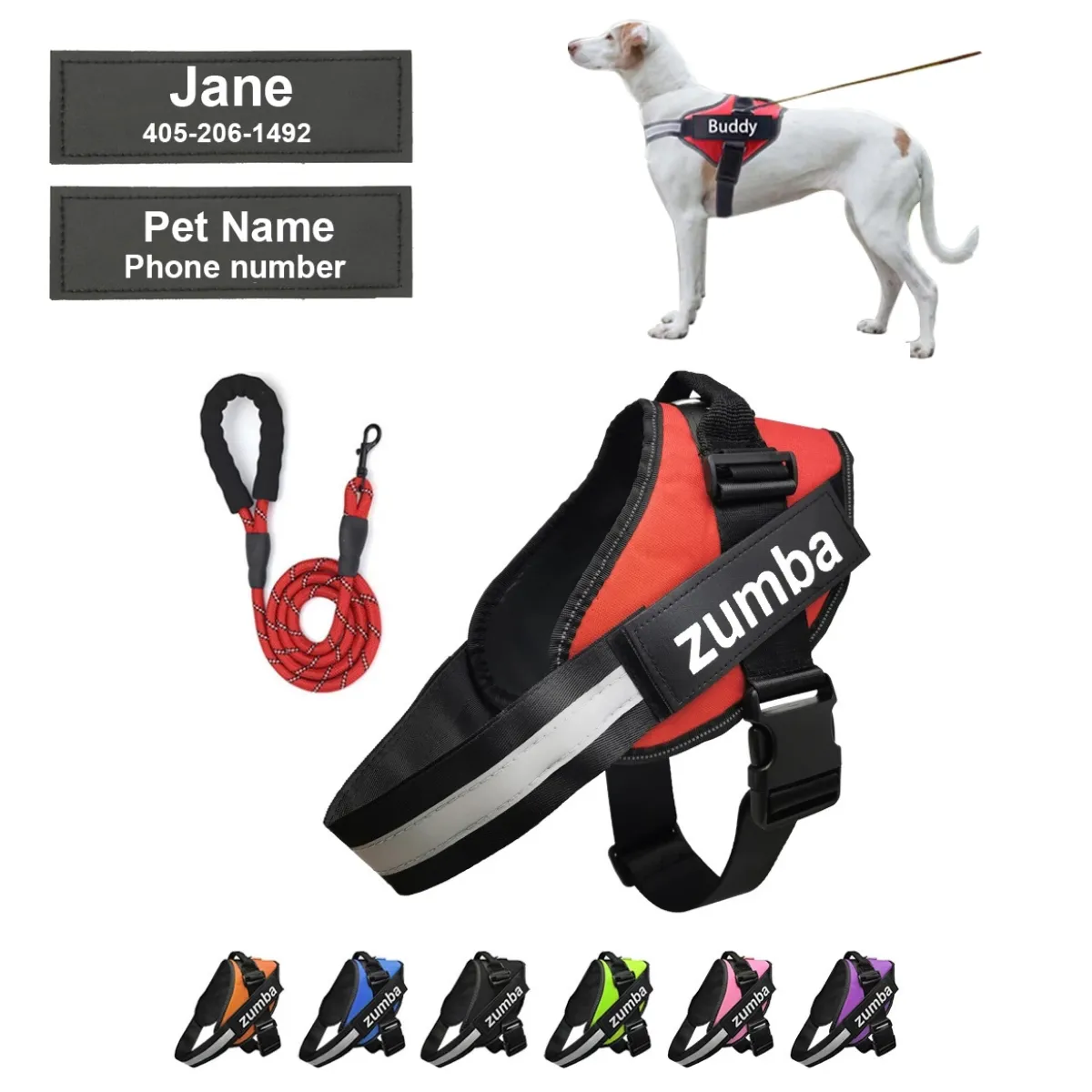 Personalized Dog Harness and Leash with Name and Phone Number