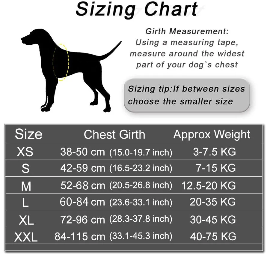 Personalized Dog Harness and Leash with Name and Phone Number