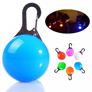Pet Safety Keyring Night Light Pendant