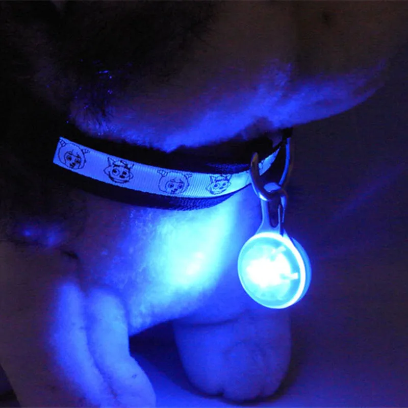Pet Safety Keyring Night Light Pendant