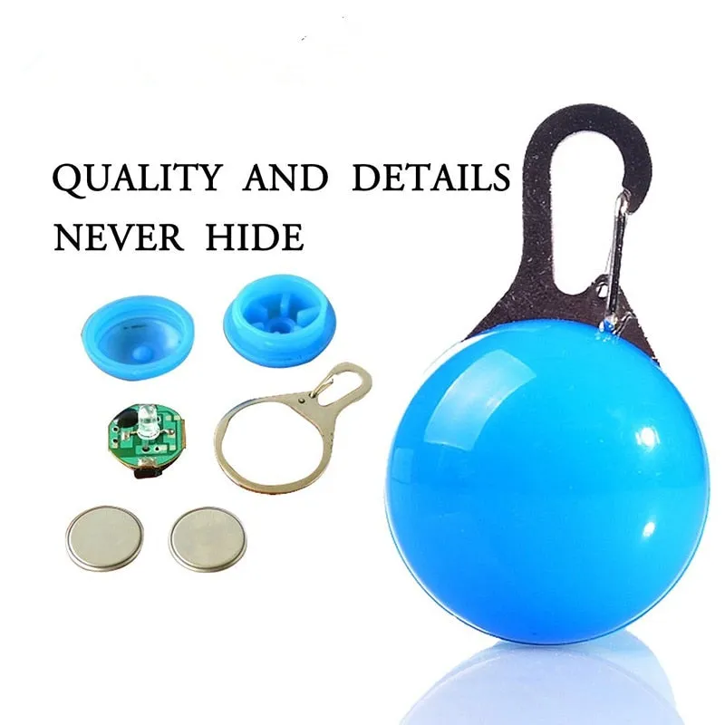 Pet Safety Keyring Night Light Pendant