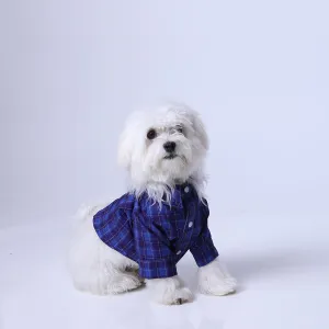 Polo Deanam Button-Up Dog Shirt