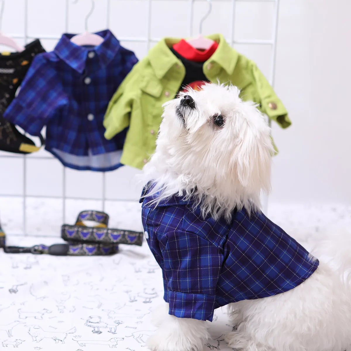 Polo Deanam Button-Up Dog Shirt