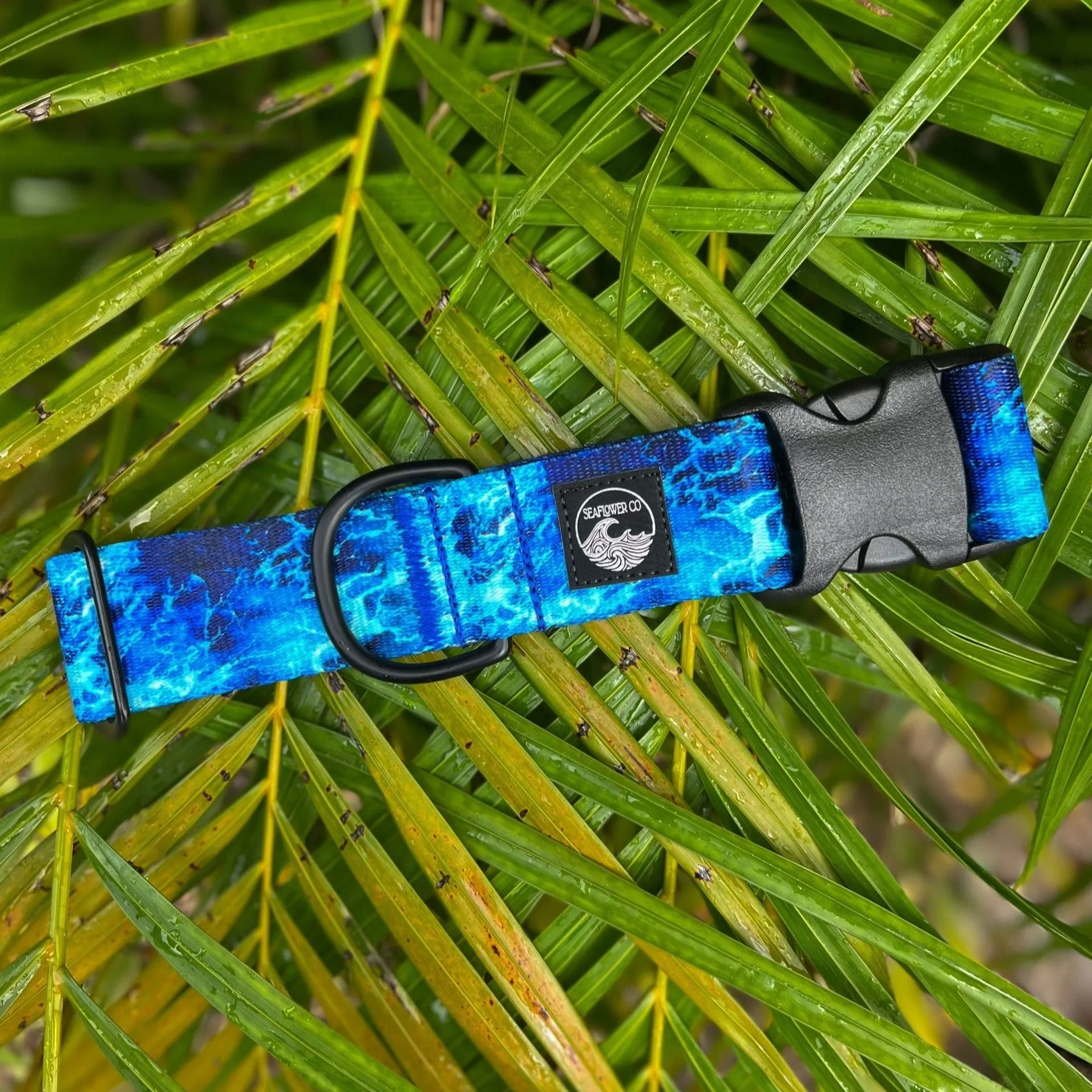 Poseidon