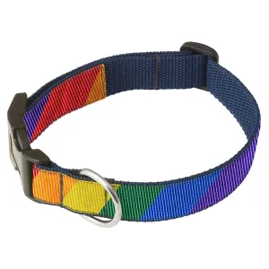 Pride Lane - Dog Collar