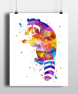 Raccoon Watercolor Art Print - Unframed