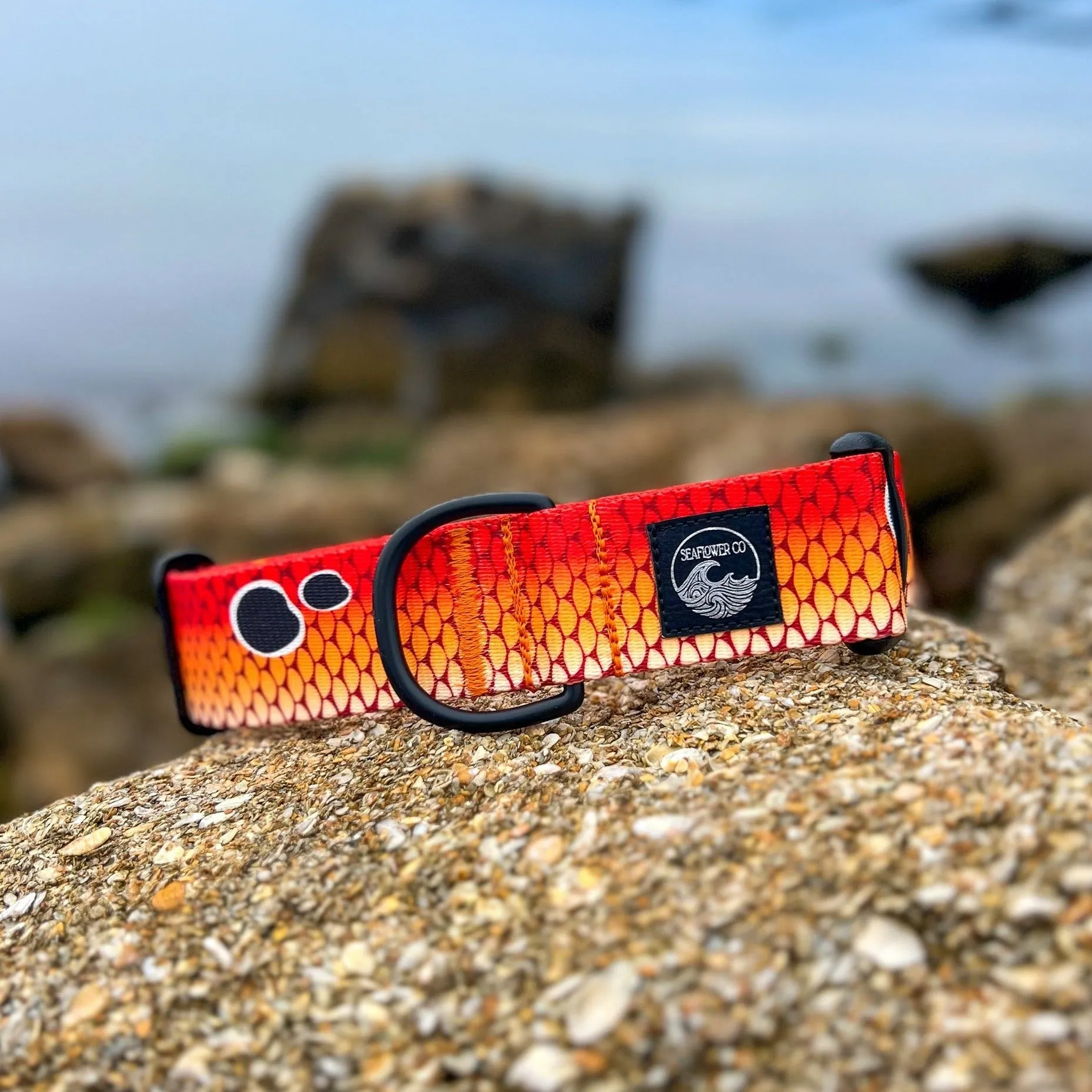 Redfish Scales