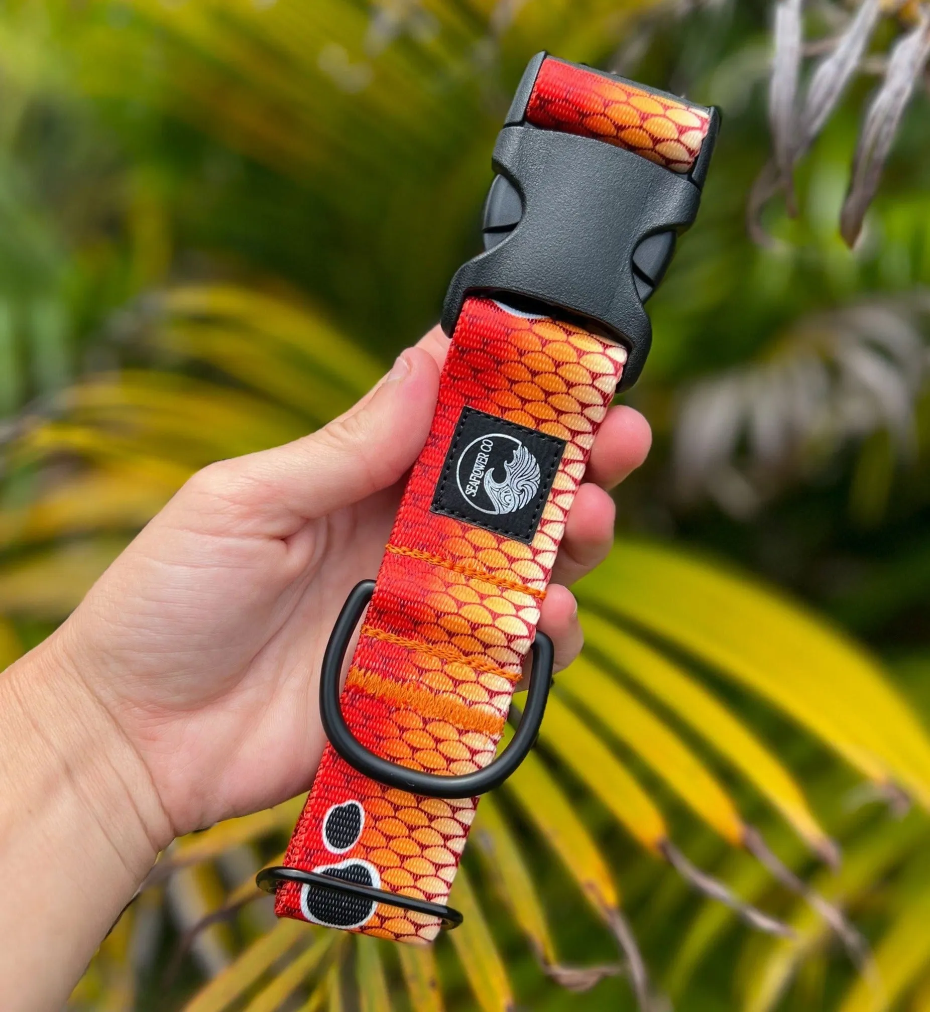 Redfish Scales