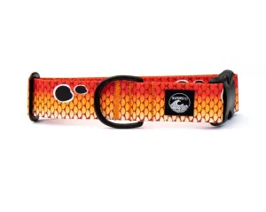 Redfish Scales