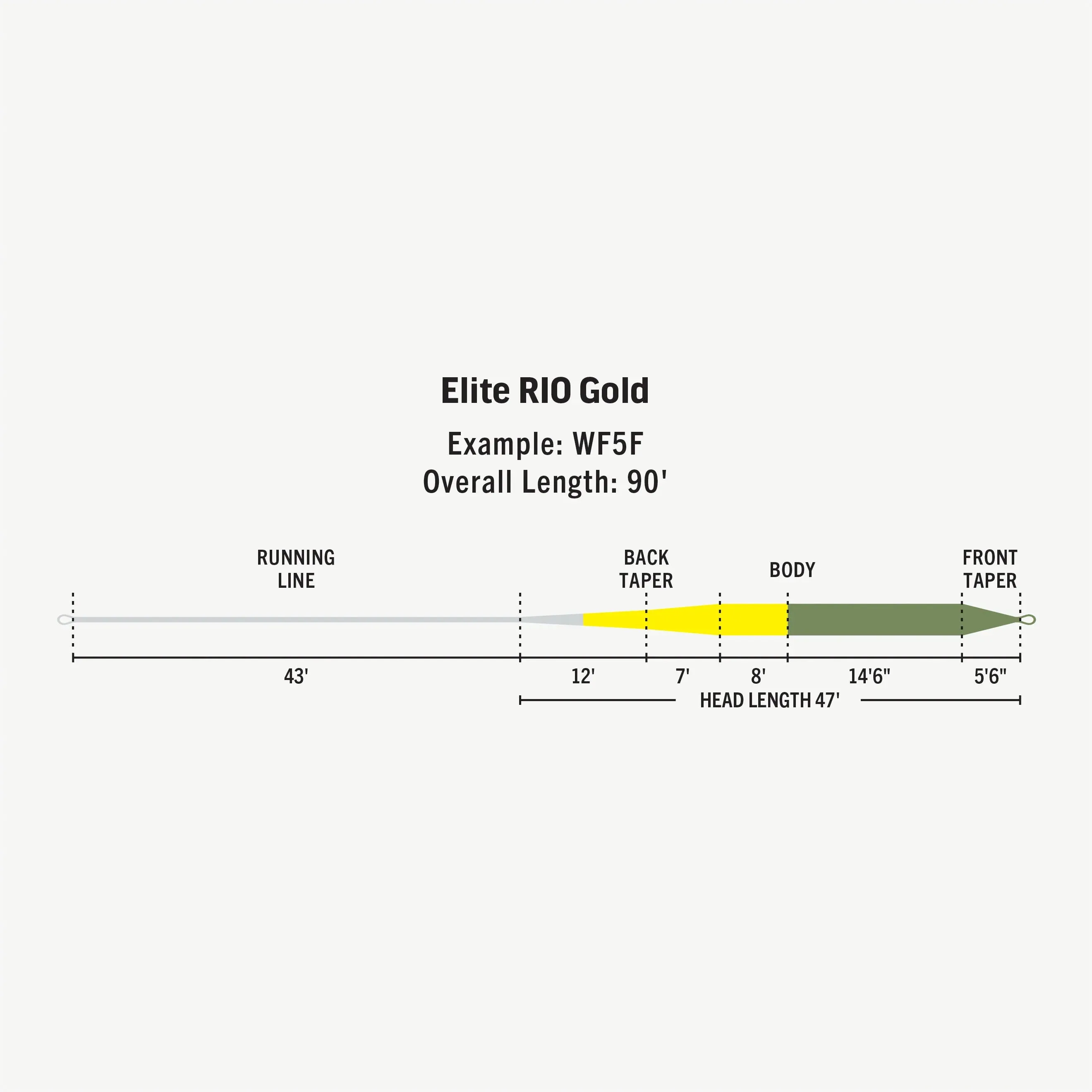 Rio Elite Freshwater Trout Series Gold Floating