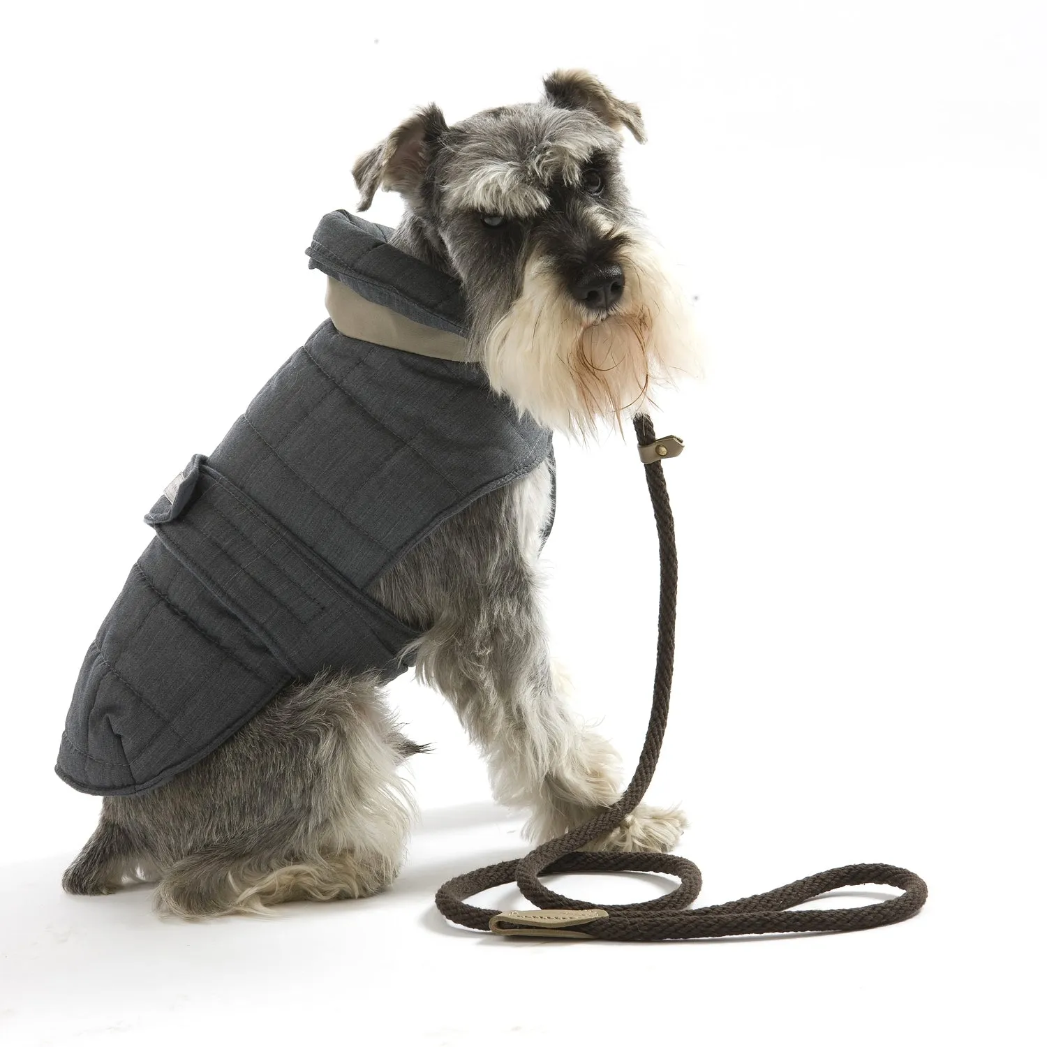 Rope Control Dog Lead