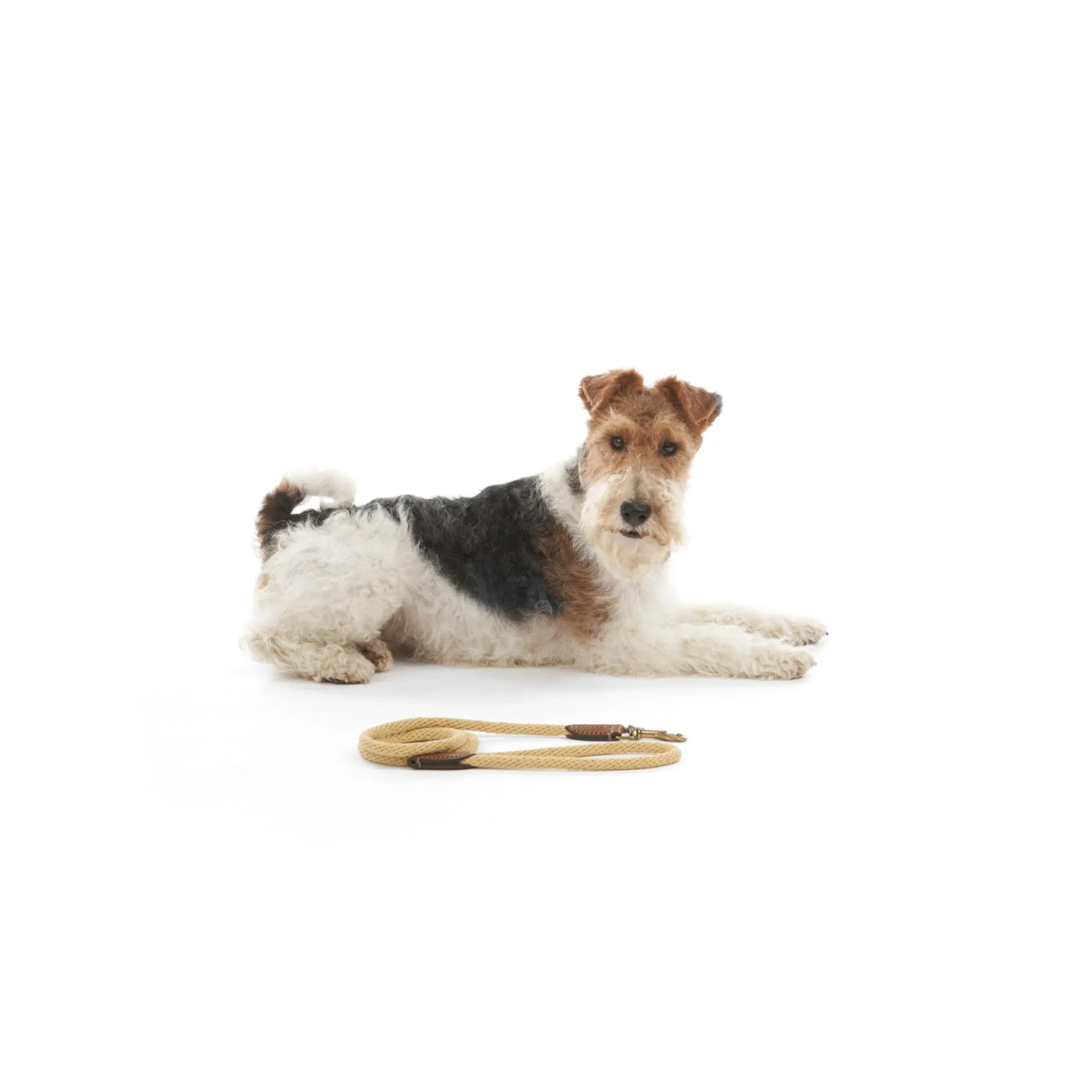 Rope Dog Lead