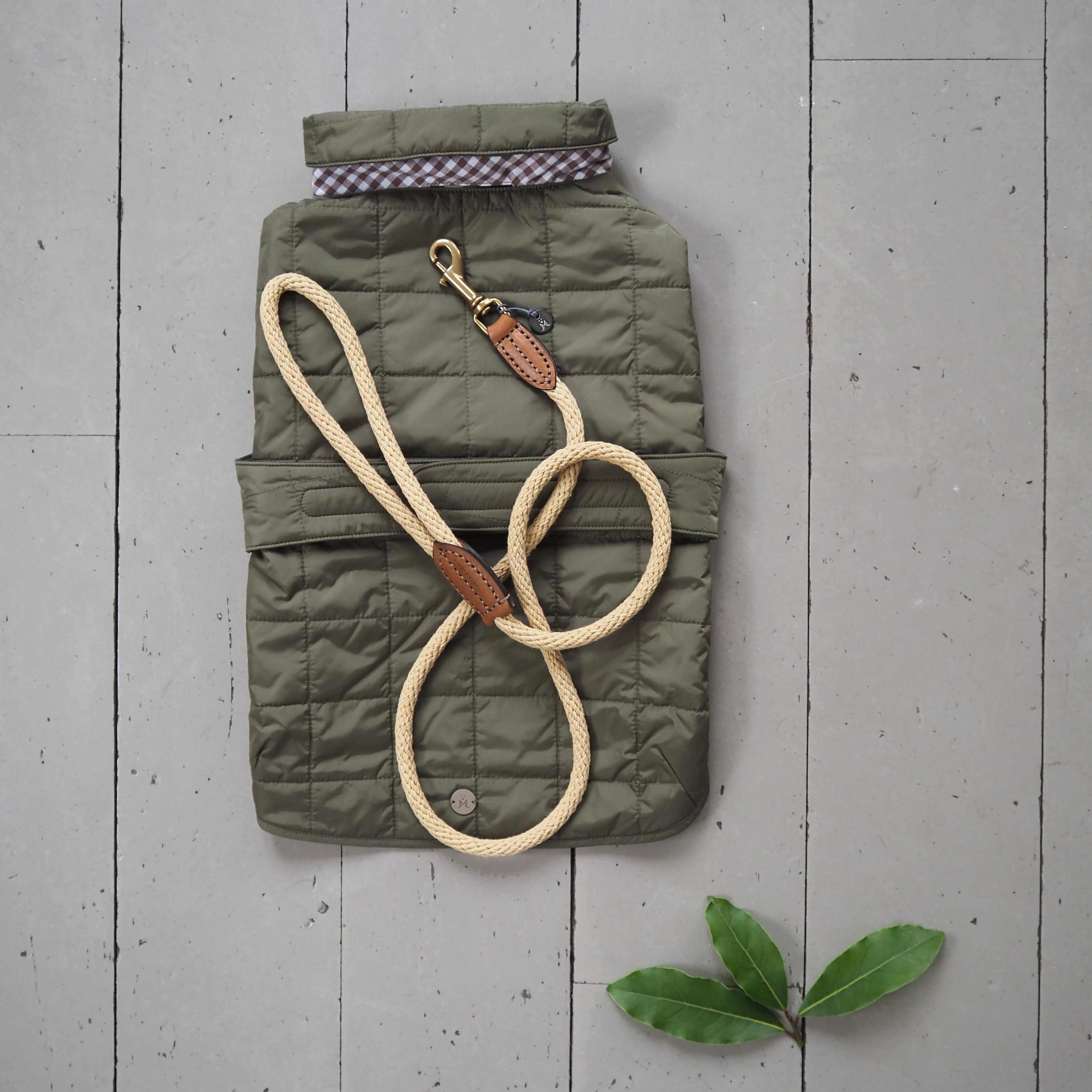 Rope Dog Lead