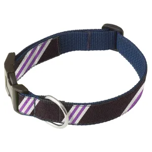 Rothesay - Dog Collar