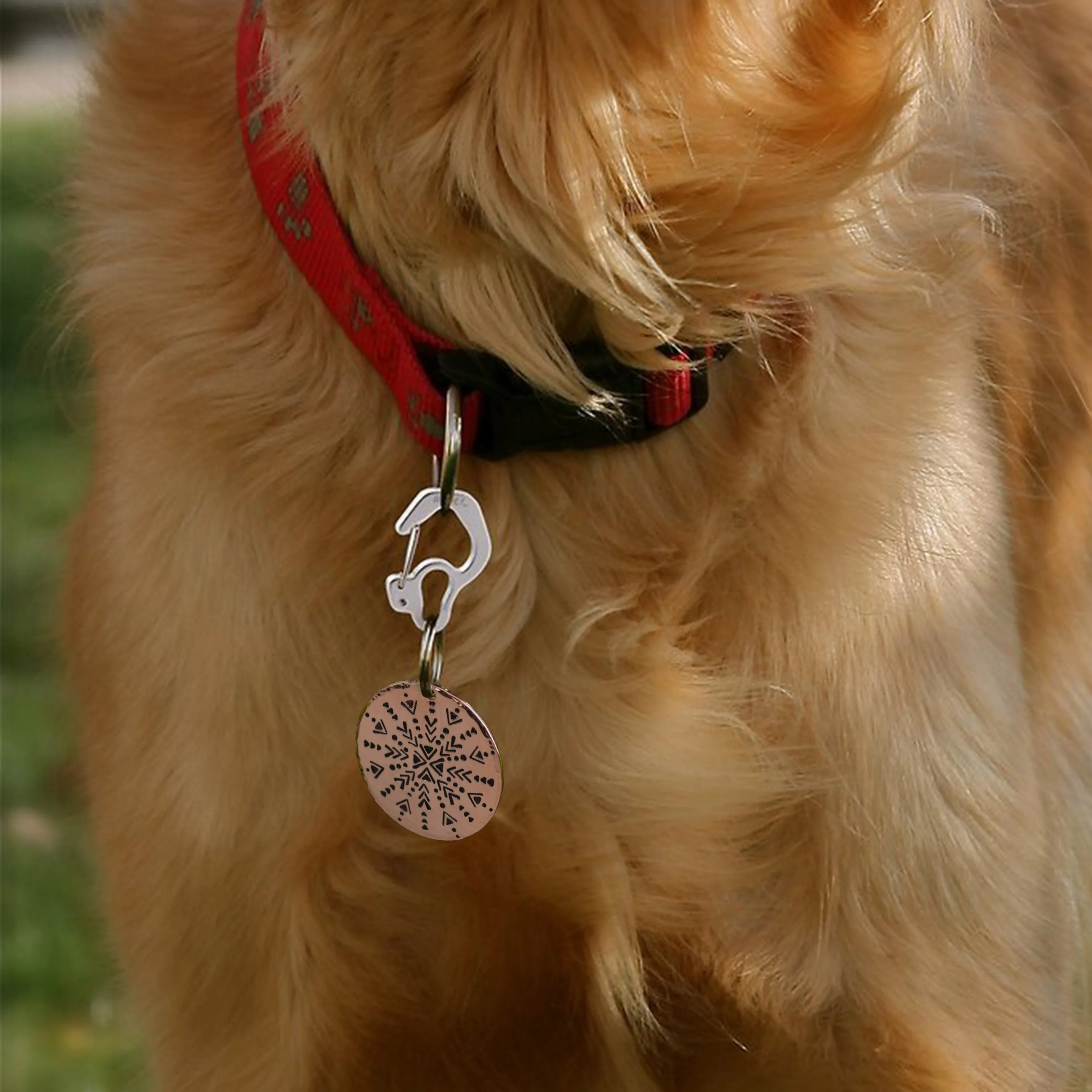 Rubit!™ Curve Dog Tag Clip