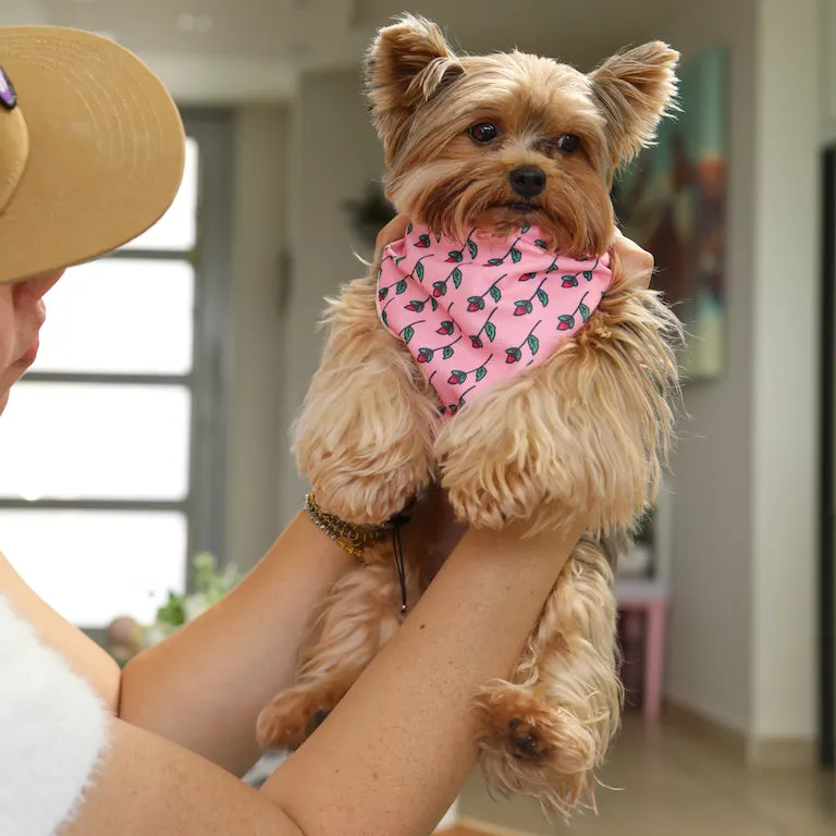 Savage Daughter Dog Bandana