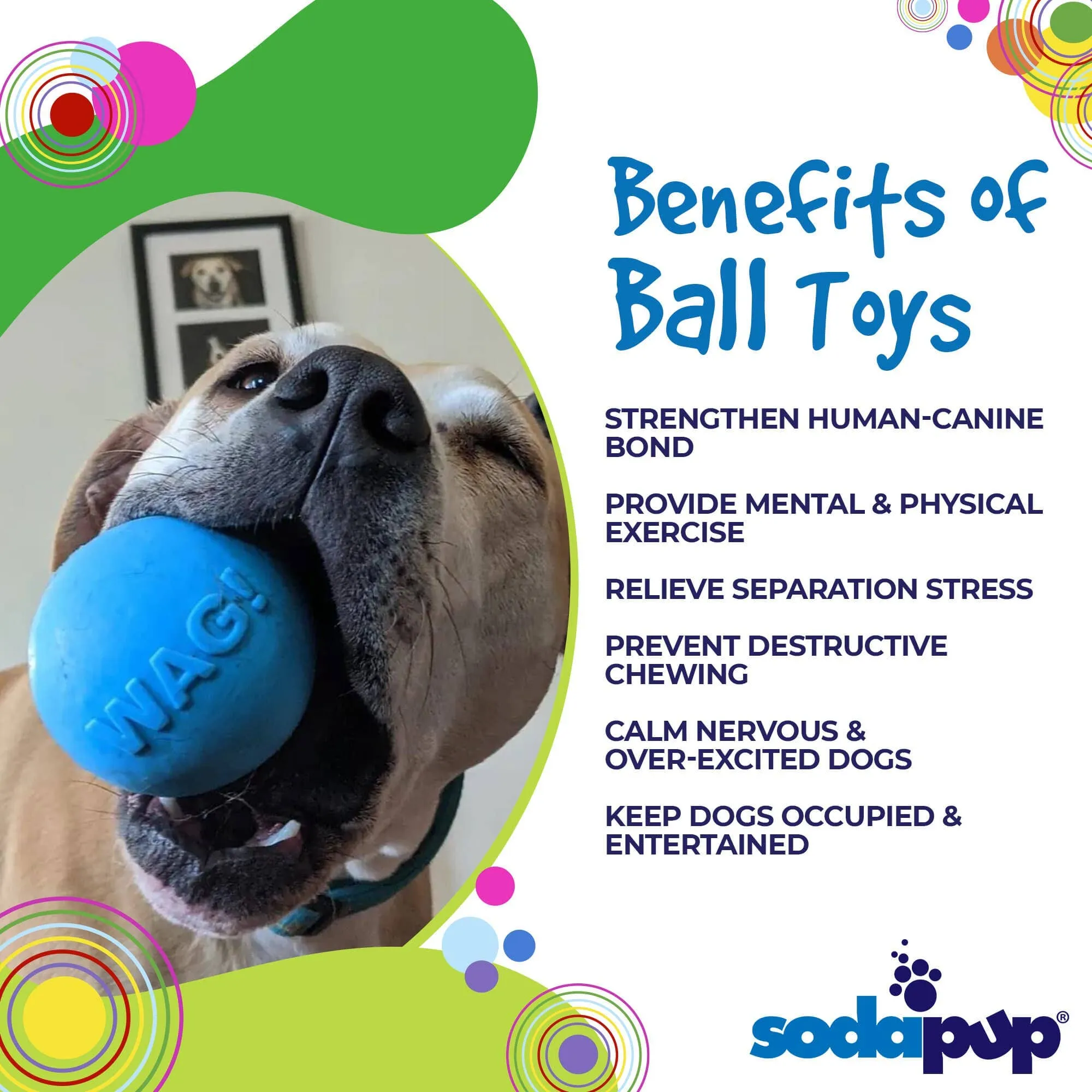 SodaPup Wag Ball Durable Synthetic Rubber Chew & Retrieving Toy
