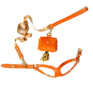 Soft Leather Step-in Harness & Nylon Lead Set — Orange