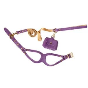 Soft Leather Step-in Harness & Nylon Lead Set — Purple