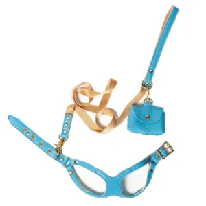 Soft Leather Step-in Harness & Nylon Lead Set — Turquoise