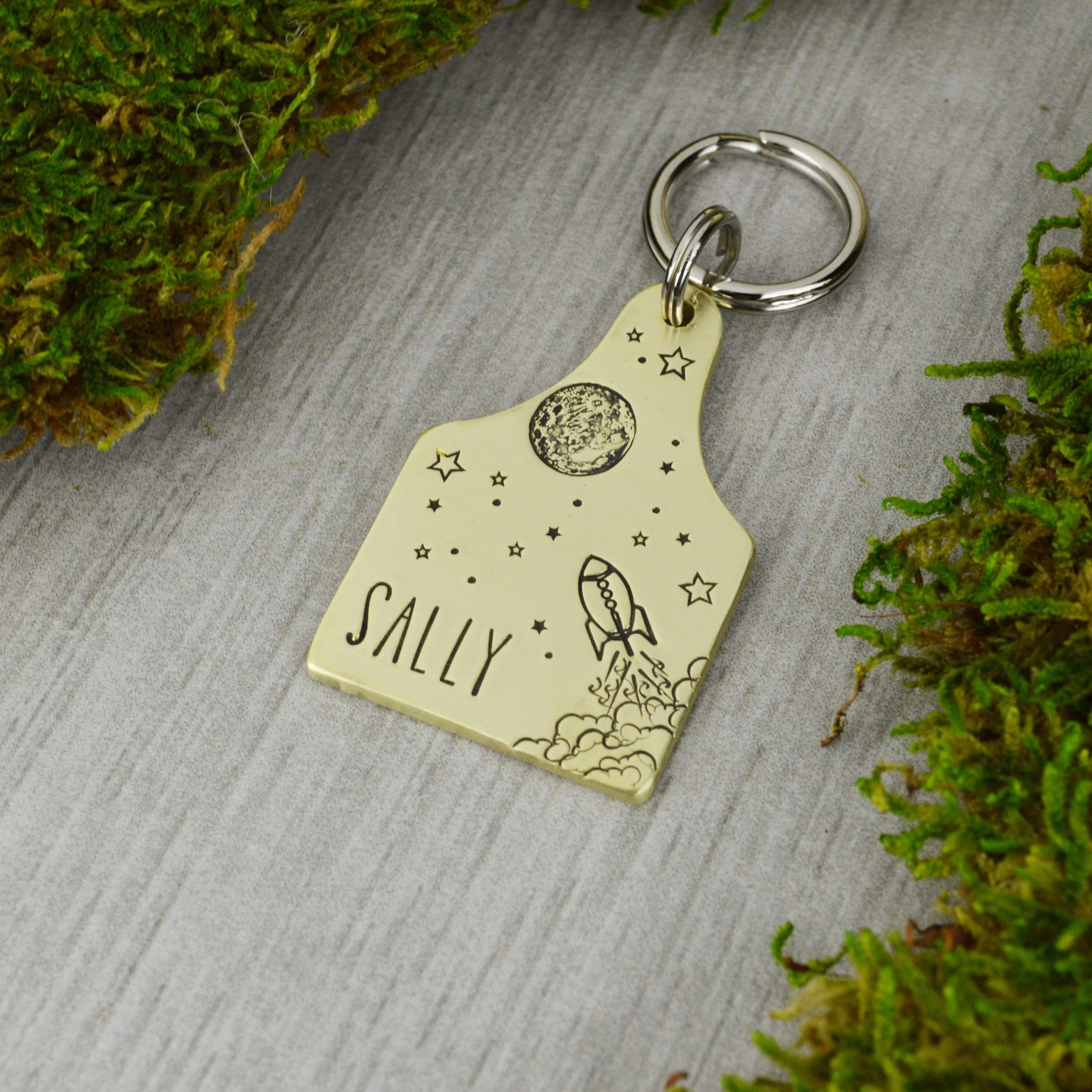 Space Race Pet ID Tag