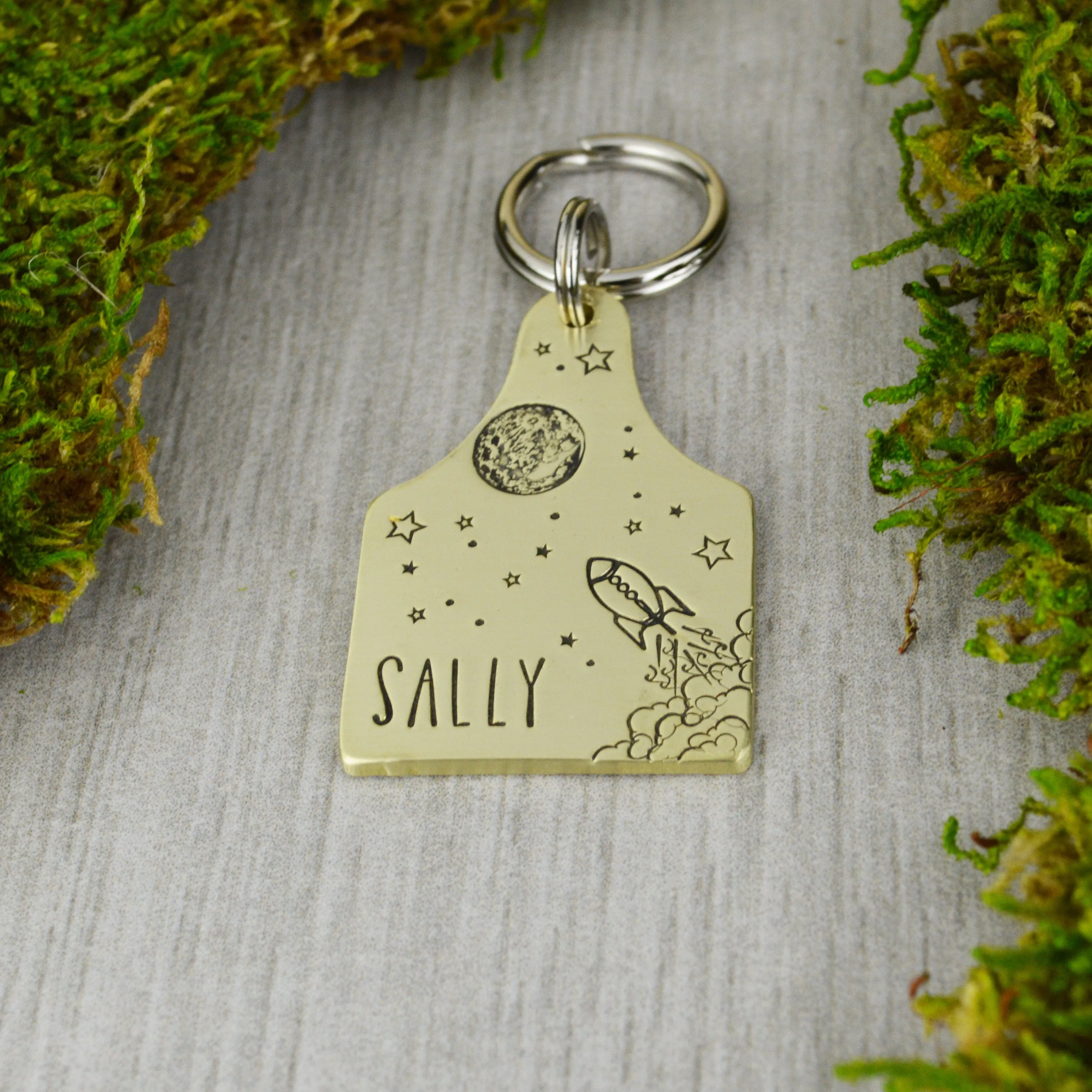 Space Race Pet ID Tag