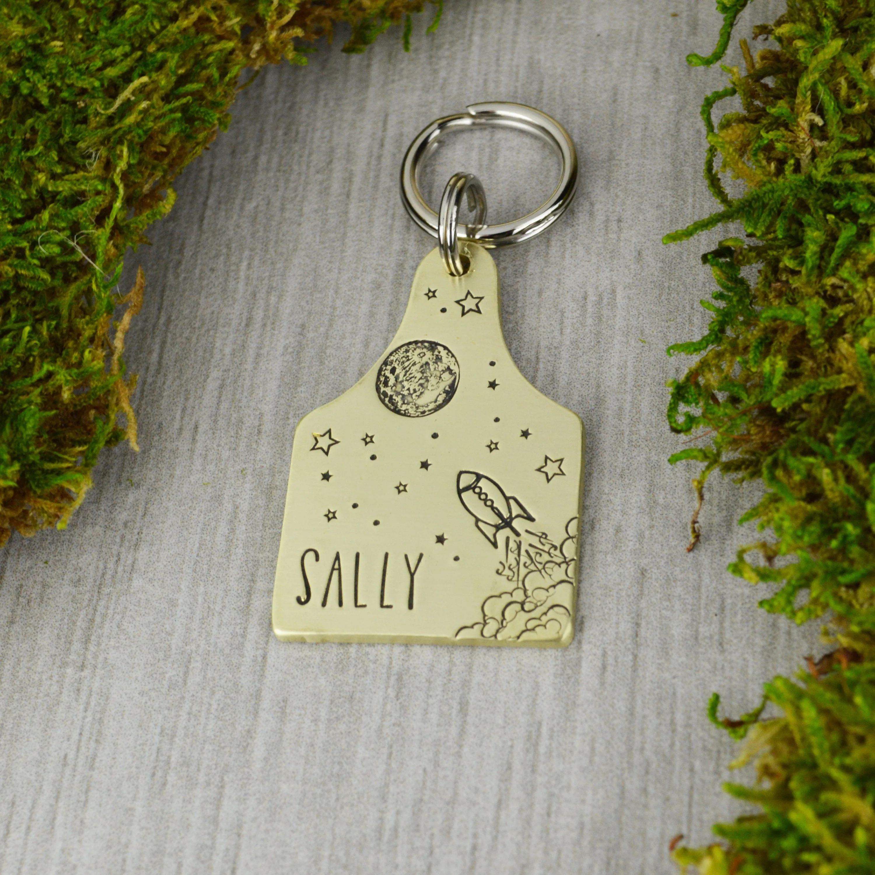 Space Race Pet ID Tag