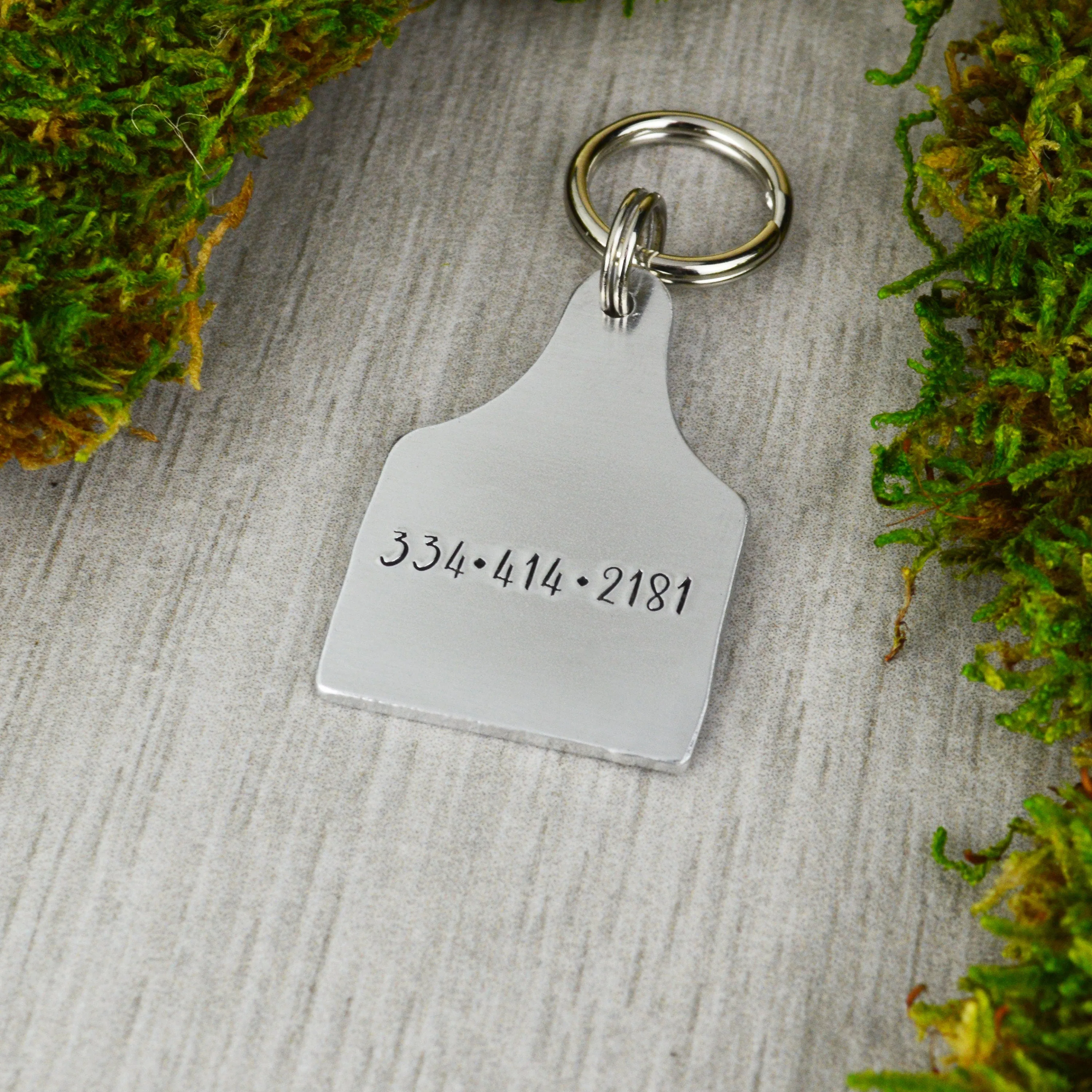 Space Race Pet ID Tag