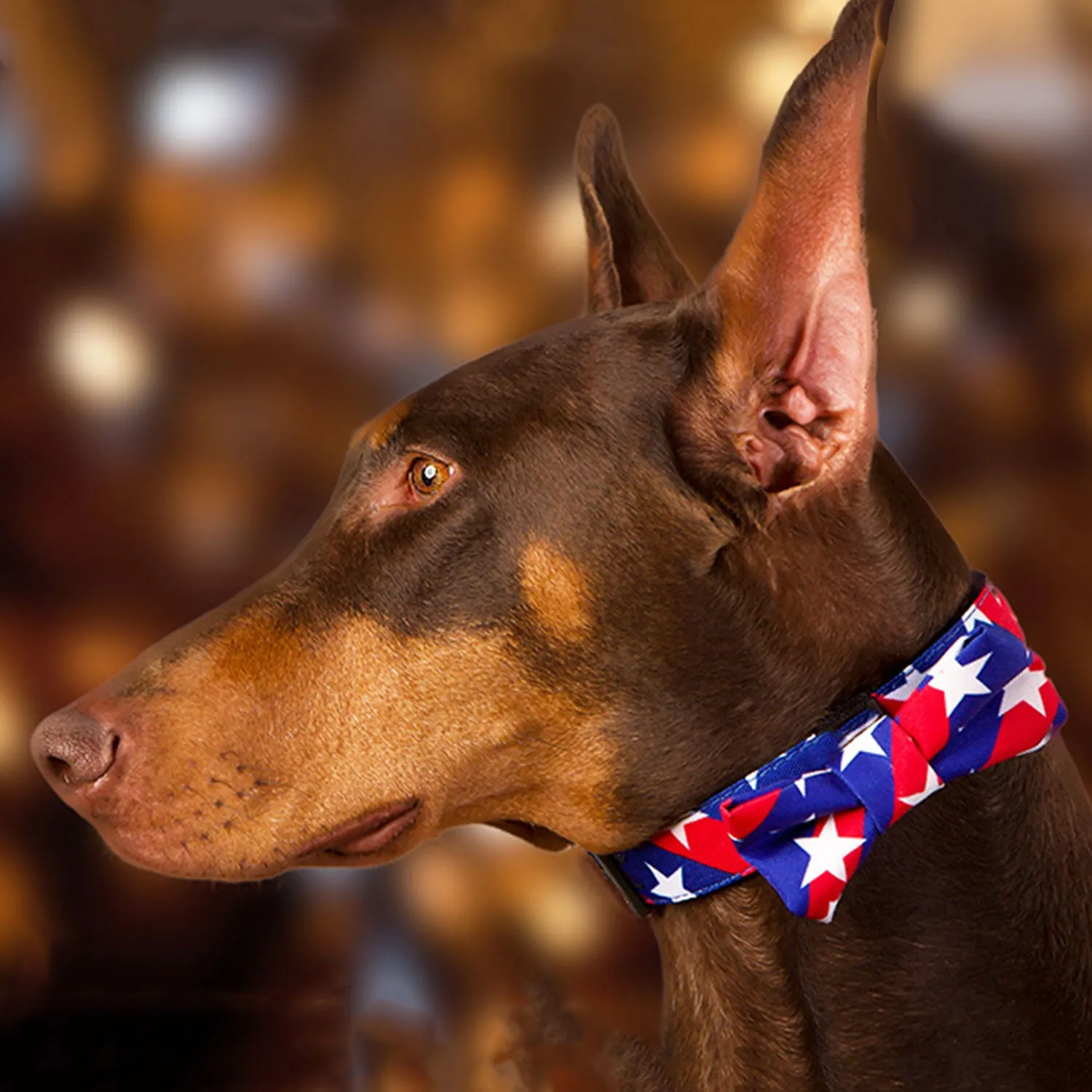 Stars & Stripes Dog Collars, Leads, and Bows