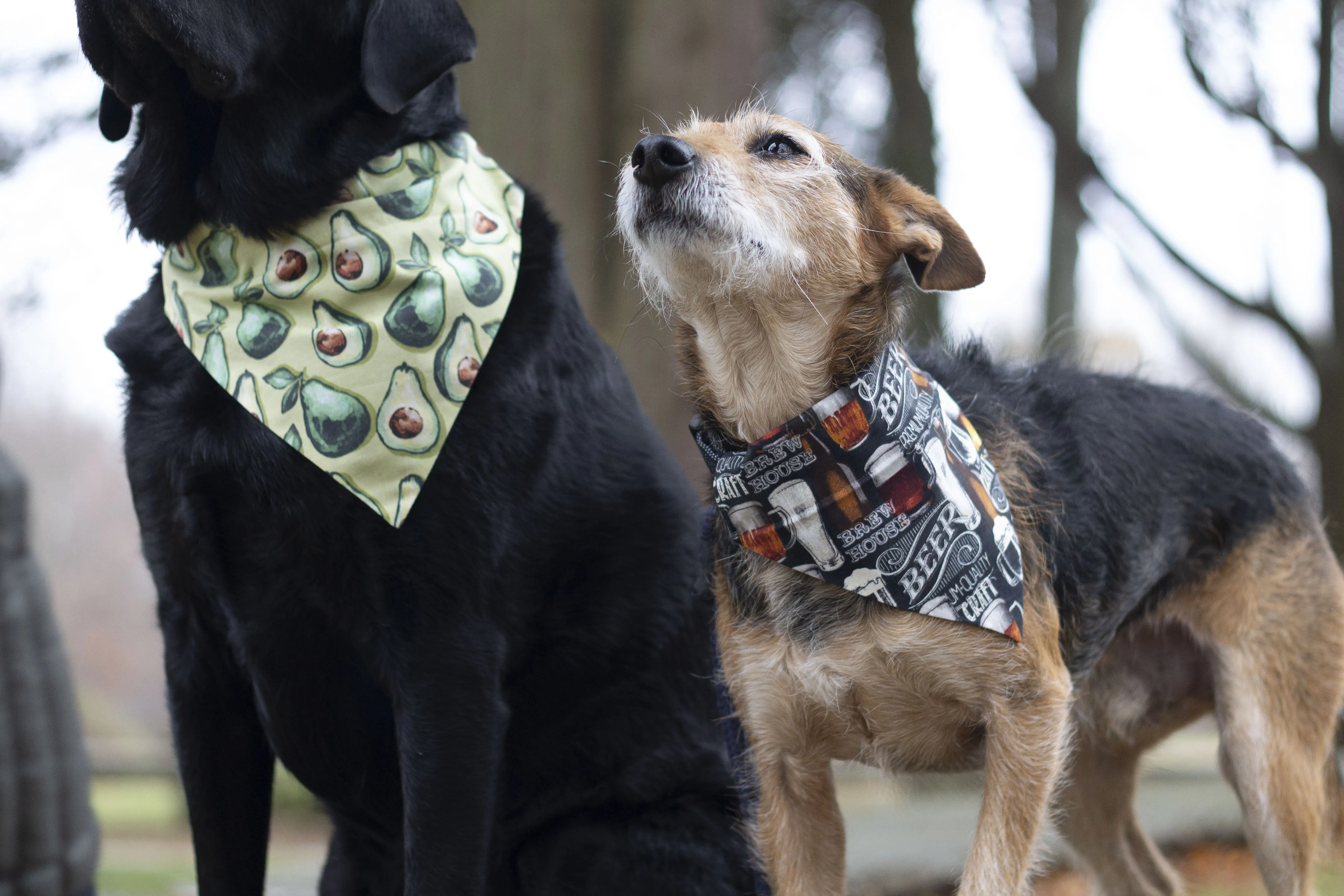 Sugar Cookie Holiday Slip On Bandana